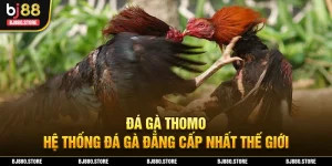 Đá gà thomo ảnh đại diện