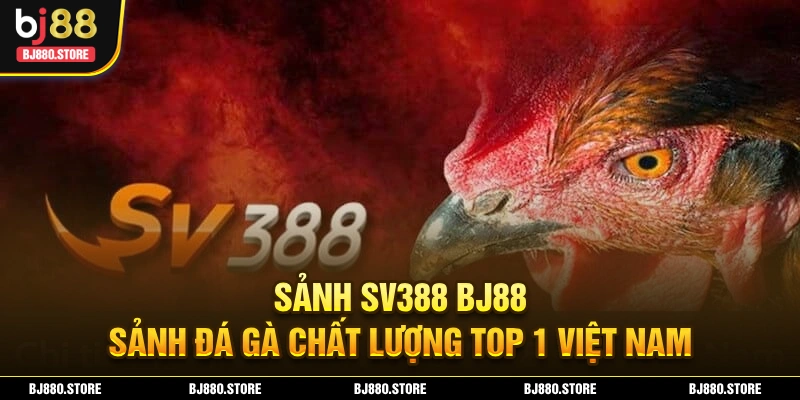 Sảnh SV388 BJ88 ảnh đại diện